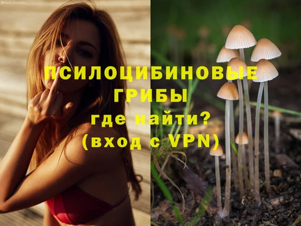 mdpv Бронницы