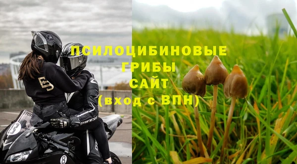 mdpv Бронницы